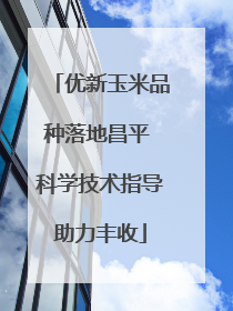 优新玉米品种落地昌平 科学技术指导助力丰收