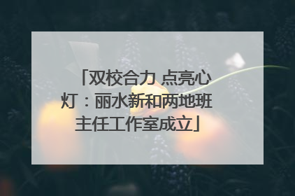 双校合力 点亮心灯：丽水新和两地班主任工作室成立