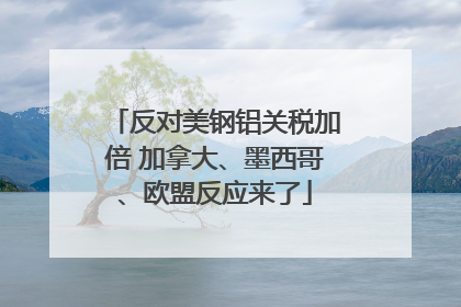 反对美钢铝关税加倍 加拿大、墨西哥、欧盟反应来了