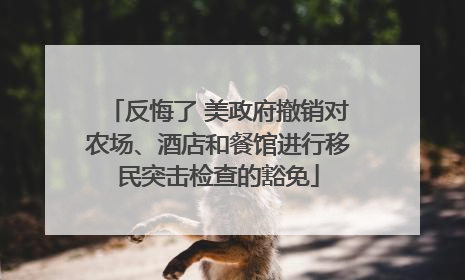 反悔了 美政府撤销对农场、酒店和餐馆进行移民突击检查的豁免