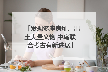 发现多座房址、出土大量文物 中乌联合考古有新进展