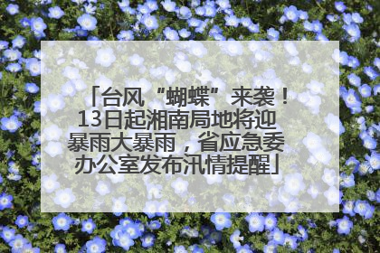 台风“蝴蝶”来袭！13日起湘南局地将迎暴雨大暴雨，省应急委办公室发布汛情提醒
