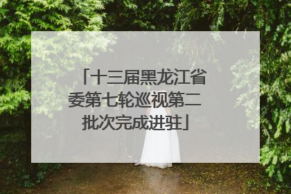 十三届黑龙江省委第七轮巡视第二批次完成进驻