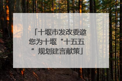 十堰市发改委邀您为十堰“十五五”规划建言献策