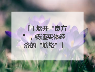 十堰开“良方”，畅通实体经济的“筋络”