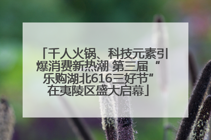 千人火锅、科技元素引爆消费新热潮 第三届“乐购湖北616三好节”在夷陵区盛大启幕