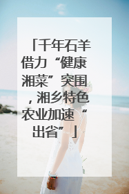 千年石羊借力“健康湘菜”突围，湘乡特色农业加速“出省”