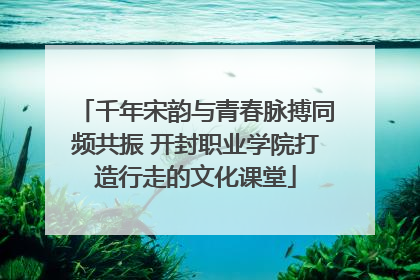 千年宋韵与青春脉搏同频共振 开封职业学院打造行走的文化课堂