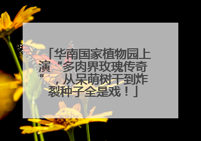 华南国家植物园上演“多肉界玫瑰传奇”，从呆萌树干到炸裂种子全是戏！