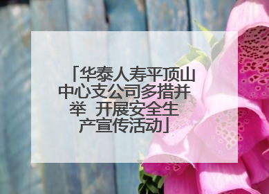 华泰人寿平顶山中心支公司多措并举  开展安全生产宣传活动