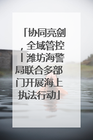 协同亮剑，全域管控丨潍坊海警局联合多部门开展海上执法行动