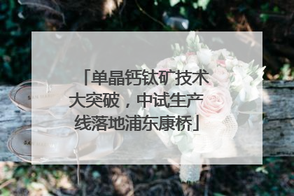单晶钙钛矿技术大突破，中试生产线落地浦东康桥