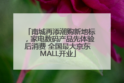南城再添潮购新地标，家电数码产品先体验后消费 全国最大京东MALL开业