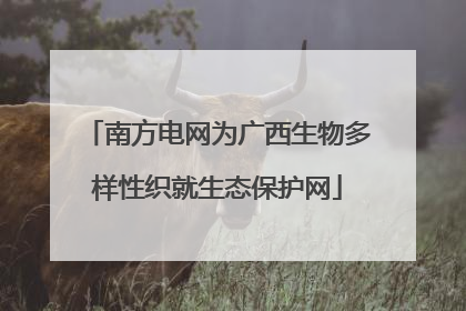 南方电网为广西生物多样性织就生态保护网