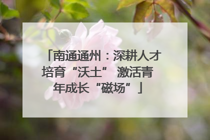 南通通州：深耕人才培育“沃土” 激活青年成长“磁场”