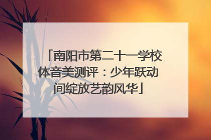南阳市第二十一学校体音美测评：少年跃动间绽放艺韵风华