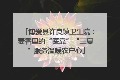 博爱县许良镇卫生院：麦香里的“医靠”“三夏”服务温暖农户心