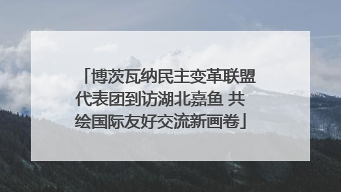 博茨瓦纳民主变革联盟代表团到访湖北嘉鱼 共绘国际友好交流新画卷