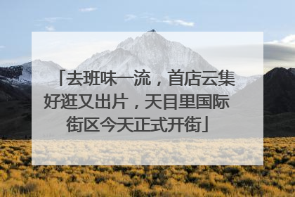 去班味一流，首店云集好逛又出片，天目里国际街区今天正式开街