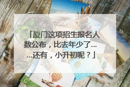 厦门这项招生报名人数公布，比去年少了……还有，小升初呢？