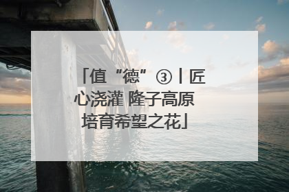 值“德”③丨匠心浇灌 隆子高原培育希望之花
