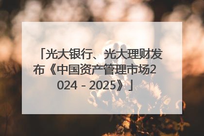 光大银行、光大理财发布《中国资产管理市场2024－2025》