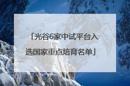 光谷6家中试平台入选国家重点培育名单