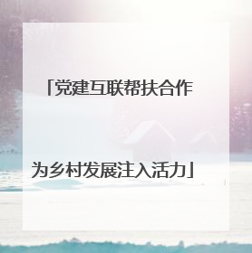 党建互联帮扶合作 为乡村发展注入活力