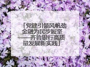 党建引领风帆劲 金融为民步履坚——齐鲁银行高质量发展新实践