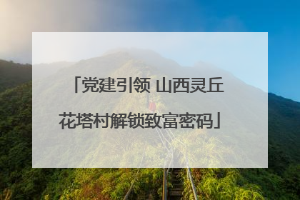 党建引领 山西灵丘花塔村解锁致富密码