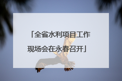 全省水利项目工作现场会在永春召开