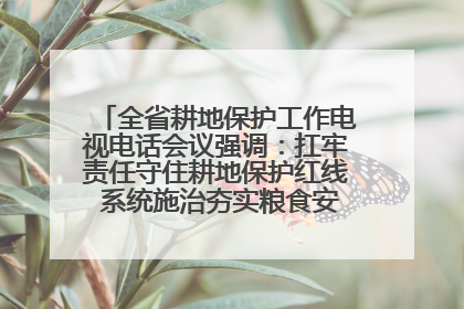 全省耕地保护工作电视电话会议强调：扛牢责任守住耕地保护红线 系统施治夯实粮食安全根基 王宁作出批示 王予波出席并讲话
