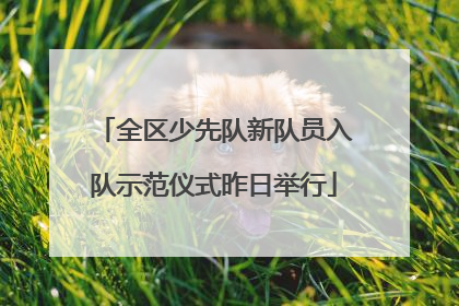 全区少先队新队员入队示范仪式昨日举行