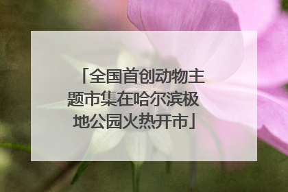 全国首创动物主题市集在哈尔滨极地公园火热开市