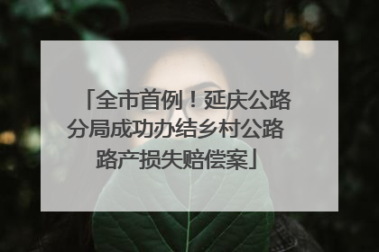 全市首例！延庆公路分局成功办结乡村公路路产损失赔偿案
