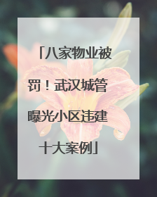八家物业被罚！武汉城管曝光小区违建十大案例