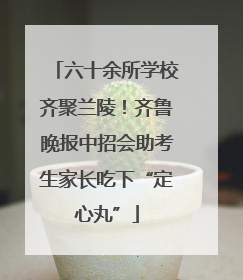 六十余所学校齐聚兰陵！齐鲁晚报中招会助考生家长吃下“定心丸”