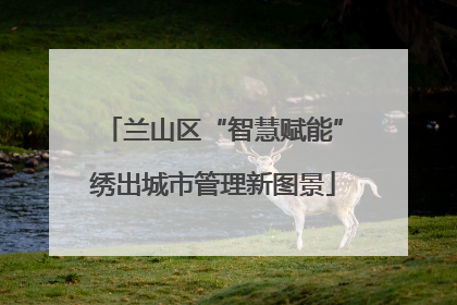 兰山区“智慧赋能”绣出城市管理新图景