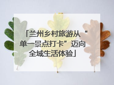 兰州乡村旅游从“单一景点打卡”迈向全域生活体验