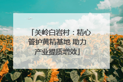 关岭白岩村：精心管护黄精基地 助力产业提质增效