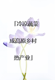 冷凉蔬菜成高原乡村热产业