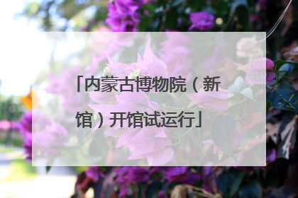 内蒙古博物院（新馆）开馆试运行