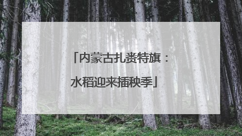 内蒙古扎赉特旗：水稻迎来插秧季