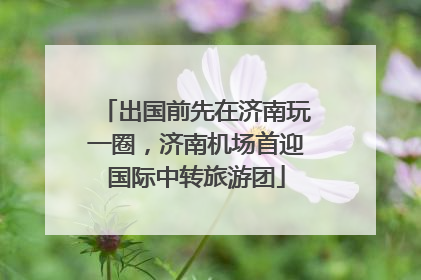 出国前先在济南玩一圈，济南机场首迎国际中转旅游团