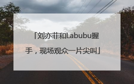 刘亦菲和Labubu握手，现场观众一片尖叫