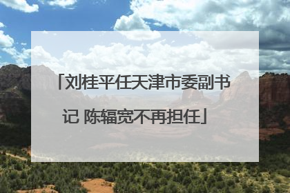 刘桂平任天津市委副书记 陈辐宽不再担任