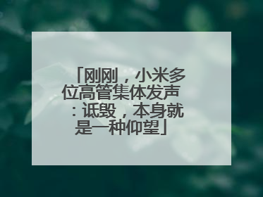 刚刚，小米多位高管集体发声：诋毁，本身就是一种仰望