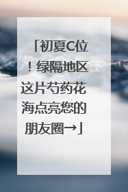 初夏C位！绿隔地区这片芍药花海点亮您的朋友圈→