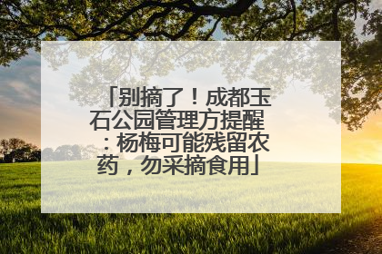 别摘了！成都玉石公园管理方提醒：杨梅可能残留农药，勿采摘食用