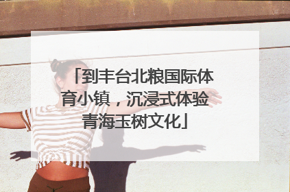 到丰台北粮国际体育小镇，沉浸式体验青海玉树文化